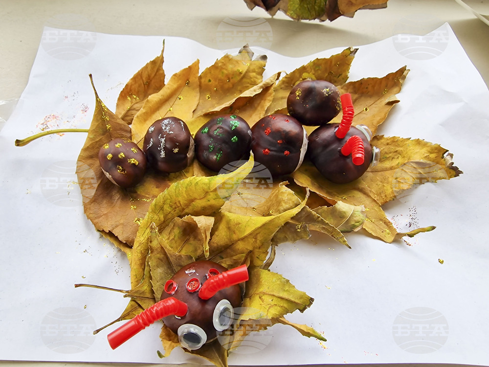 Пазарджик - изучаване на природата - ученици