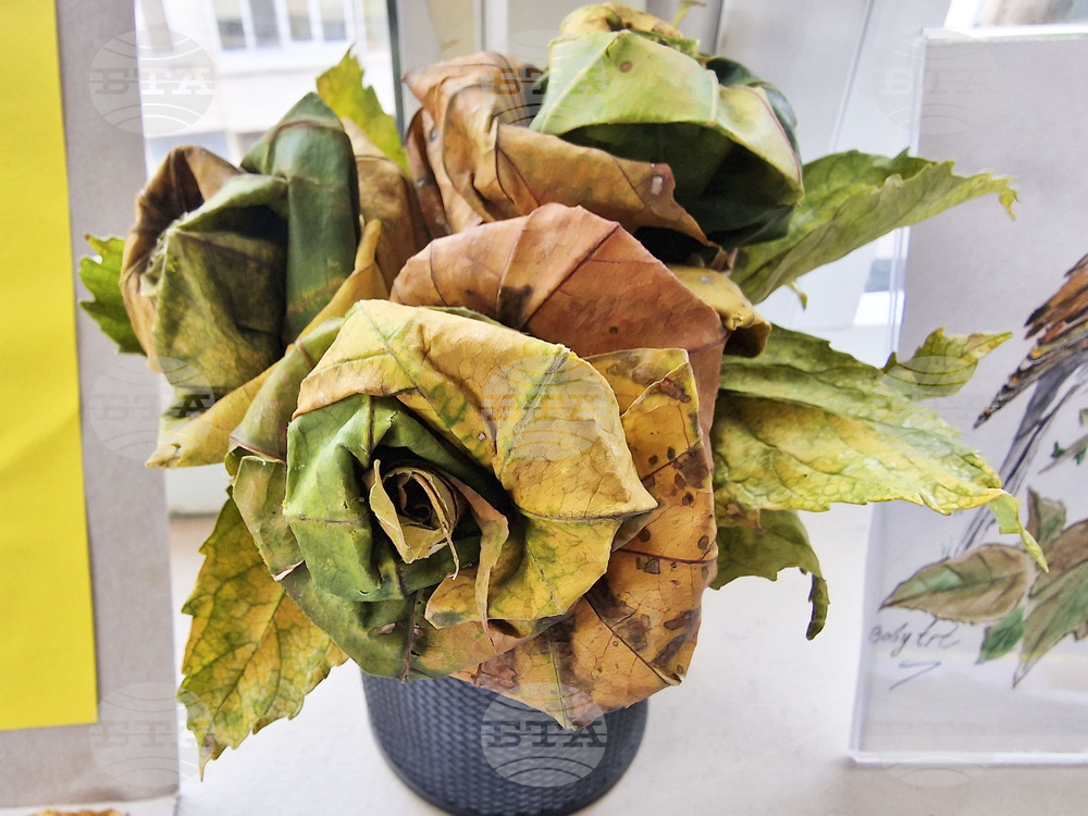 Пазарджик - изучаване на природата - ученици