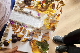 Пазарджик - изучаване на природата - ученици