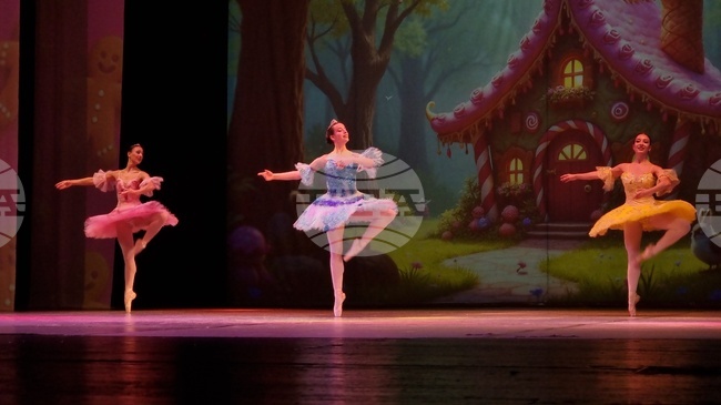 Founder of Varna International Ballet Competition Foundation Calls on State to Protect Competition