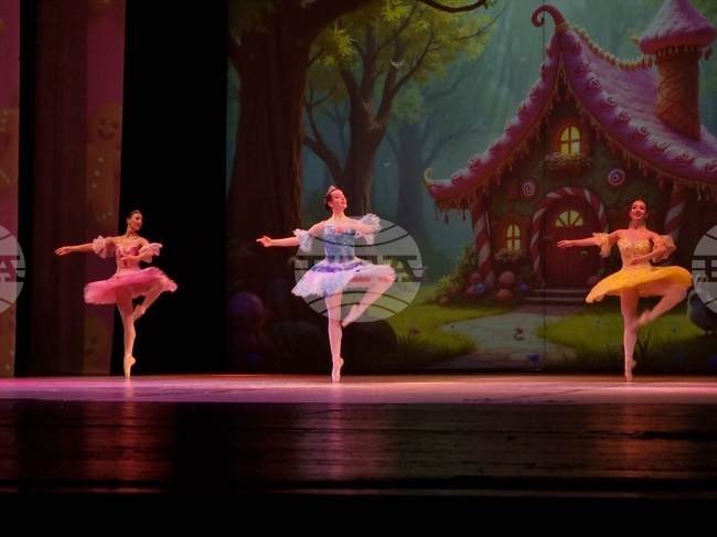 Founder of Varna International Ballet Competition Foundation Calls on State to Protect Competition