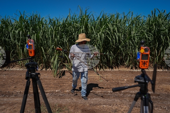 Climate Heat Farmworkers Study