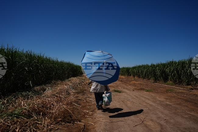 APTOPIX Climate Heat Farmworkers Study