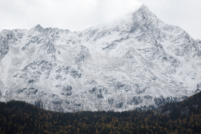 Austria Alpine Skiing World Cup