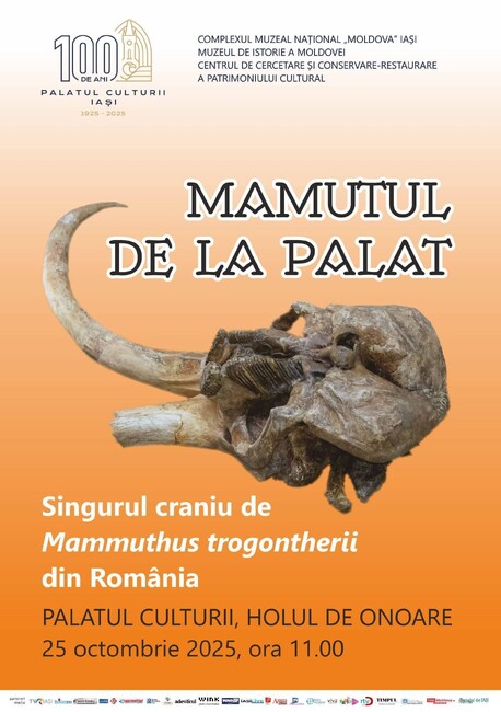 Аджерпрес: Череп на мамут на приблизително 350 000 години ще бъде изложен в Двореца на културата в Яш, Румъния