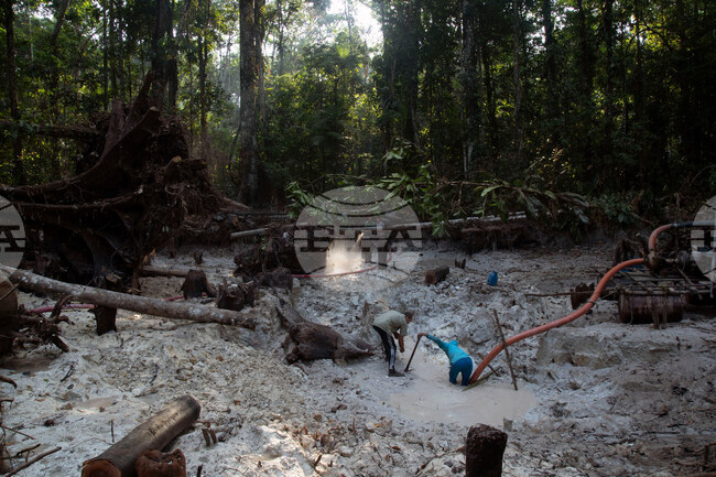 Climate-Interpol Crackdown