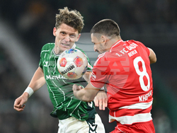 Germany Soccer Bundesliga