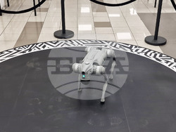 Phenomena - музей на науката и изкуството