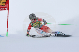 Austria Alpine Skiing World Cup
