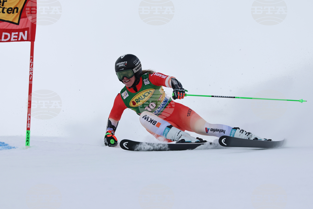 Austria Alpine Skiing World Cup