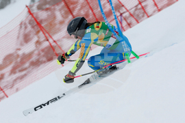 Austria Alpine Skiing World Cup