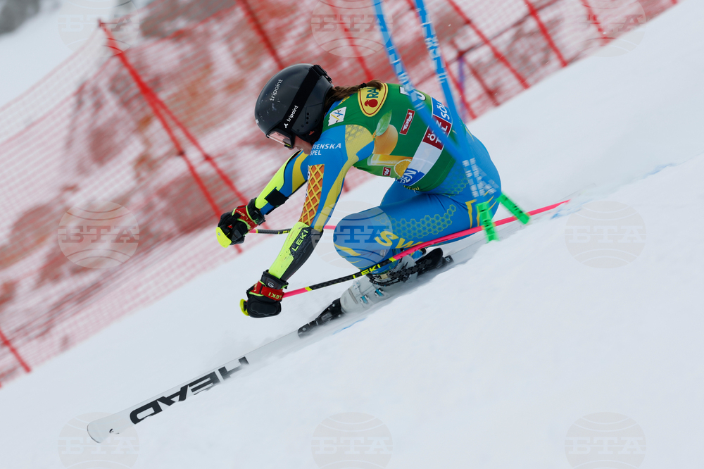 Austria Alpine Skiing World Cup