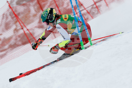 Austria Alpine Skiing World Cup