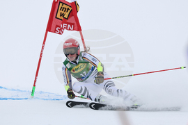 Austria Alpine Skiing World Cup