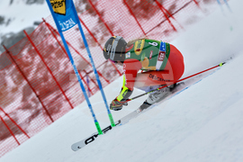 Austria Alpine Skiing World Cup