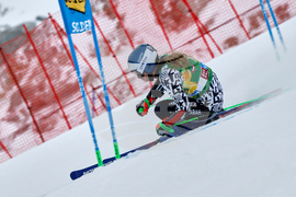 Austria Alpine Skiing World Cup