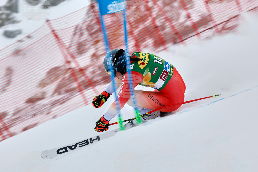Austria Alpine Skiing World Cup