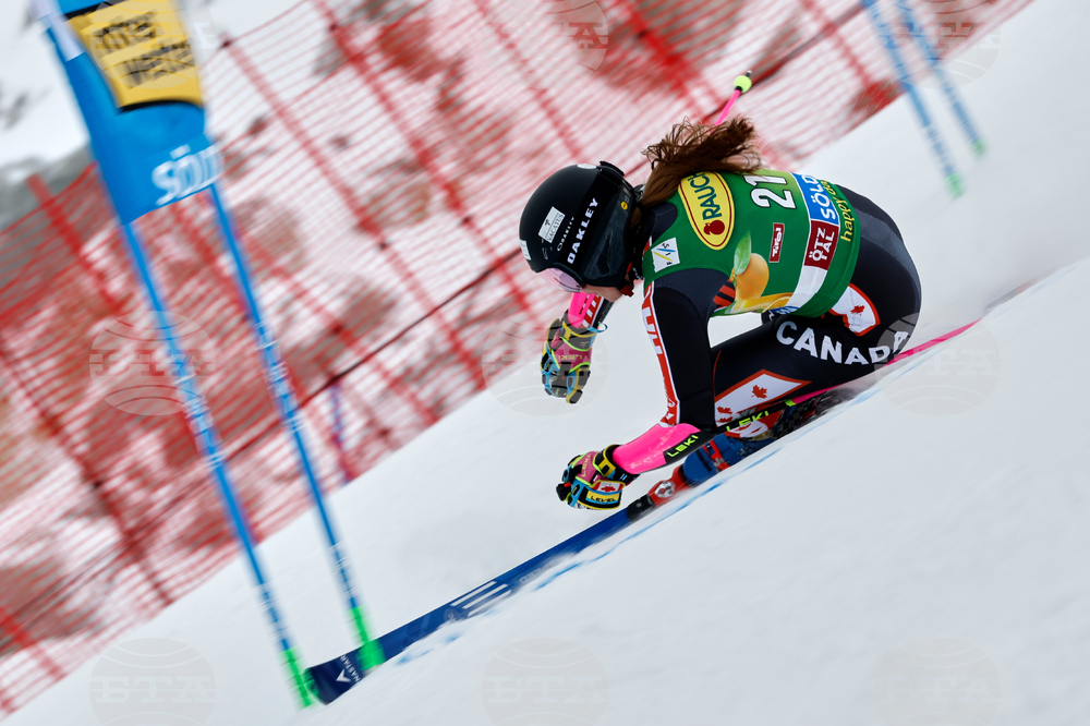 Austria Alpine Skiing World Cup