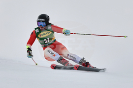 Austria Alpine Skiing World Cup