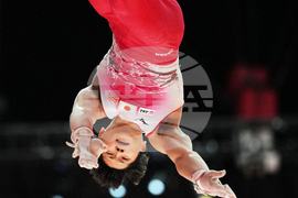 Indonesia Gymnastics World