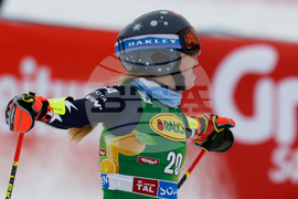 Austria Alpine Skiing World Cup