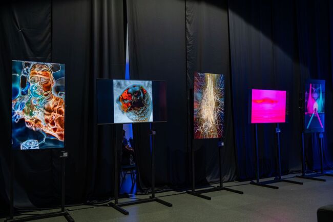 Групова изложба, посветена на връзката между съвременното изкуство и блокчейн културата, се проведе в София