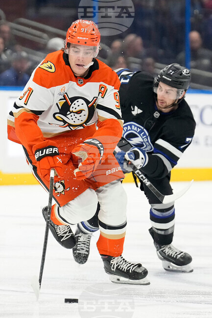 Ducks Lightning Hockey