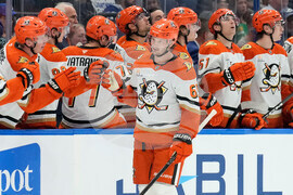 Ducks Lightning Hockey