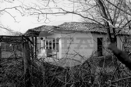 Село Самотино