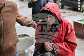 Българска социалистическа партия - пленум - предстоящо - Велислава Дърева