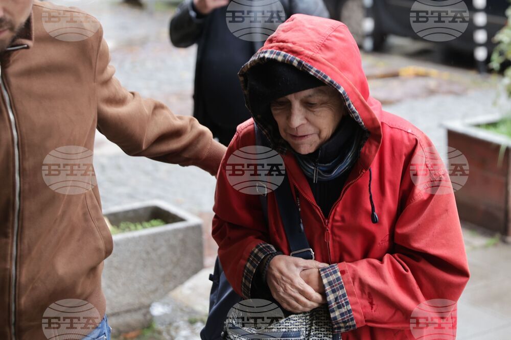 Българска социалистическа партия - пленум - предстоящо - Велислава Дърева
