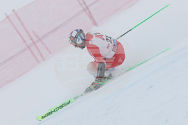 Austria Alpine Skiing World Cup