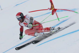 Austria Alpine Skiing World Cup
