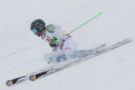Austria Alpine Skiing World Cup