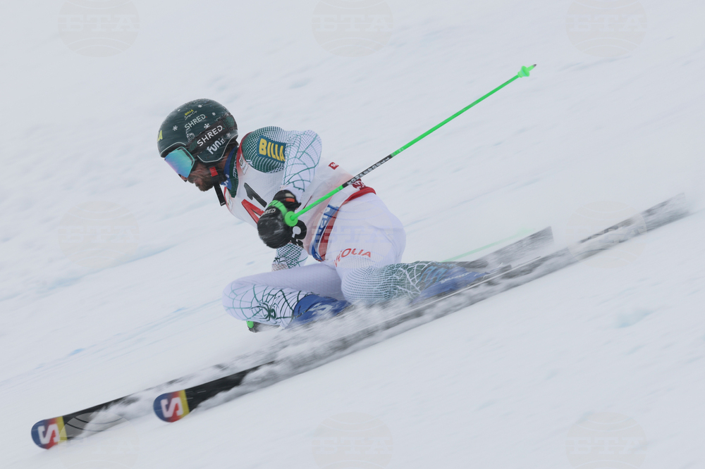 Austria Alpine Skiing World Cup