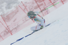 Austria Alpine Skiing World Cup
