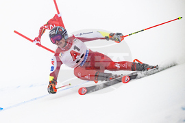 Austria Alpine Skiing World Cup