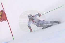 Austria Alpine Skiing World Cup