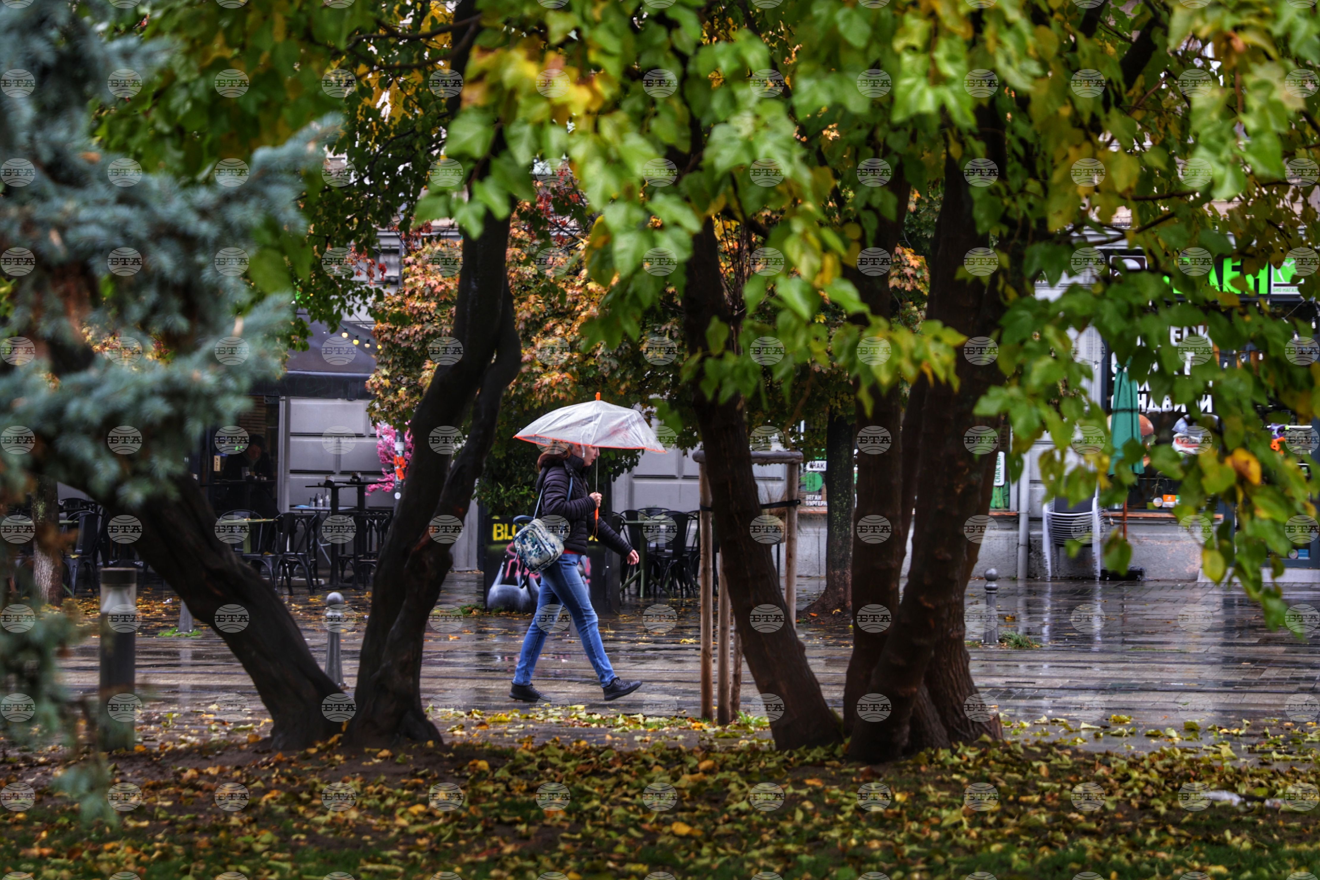 Прогноза за времето