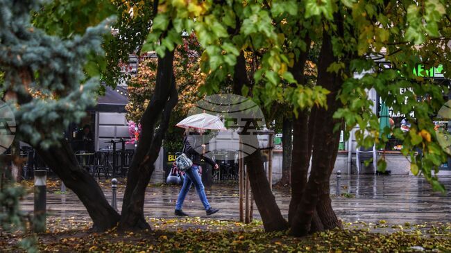 Прогноза за времето