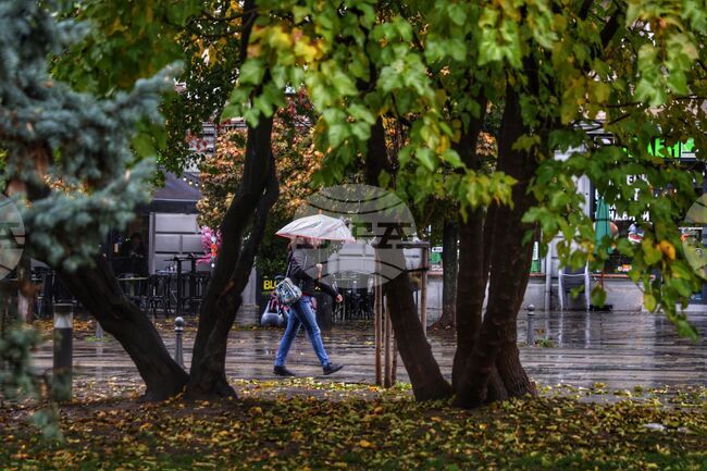 Прогноза за времето