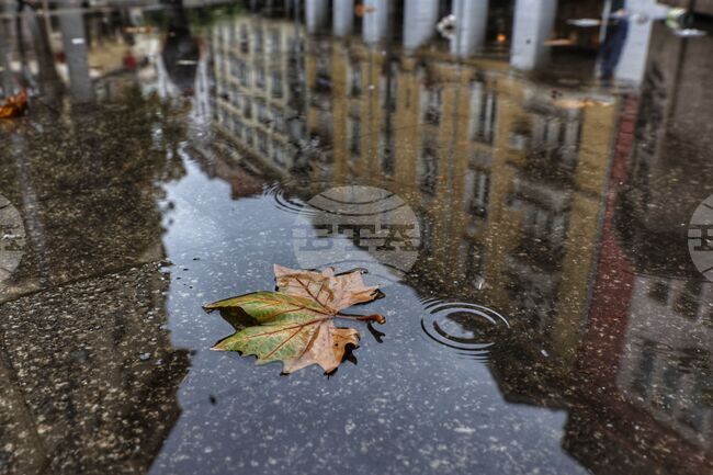 Прогноза за времето