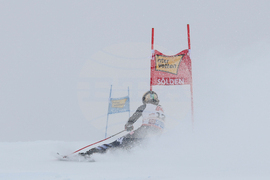 Austria Alpine Skiing World Cup