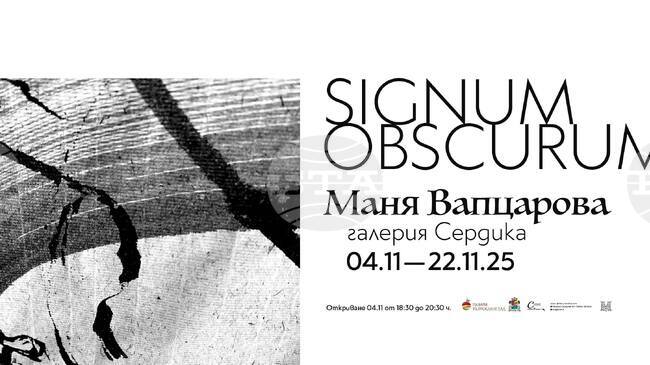 Маня Вапцарова прави експеримент с материалността и средствата на калиграфията в проекта Signum Obscurum