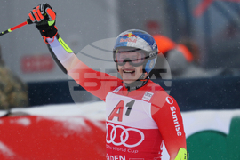 Austria Alpine Skiing World Cup