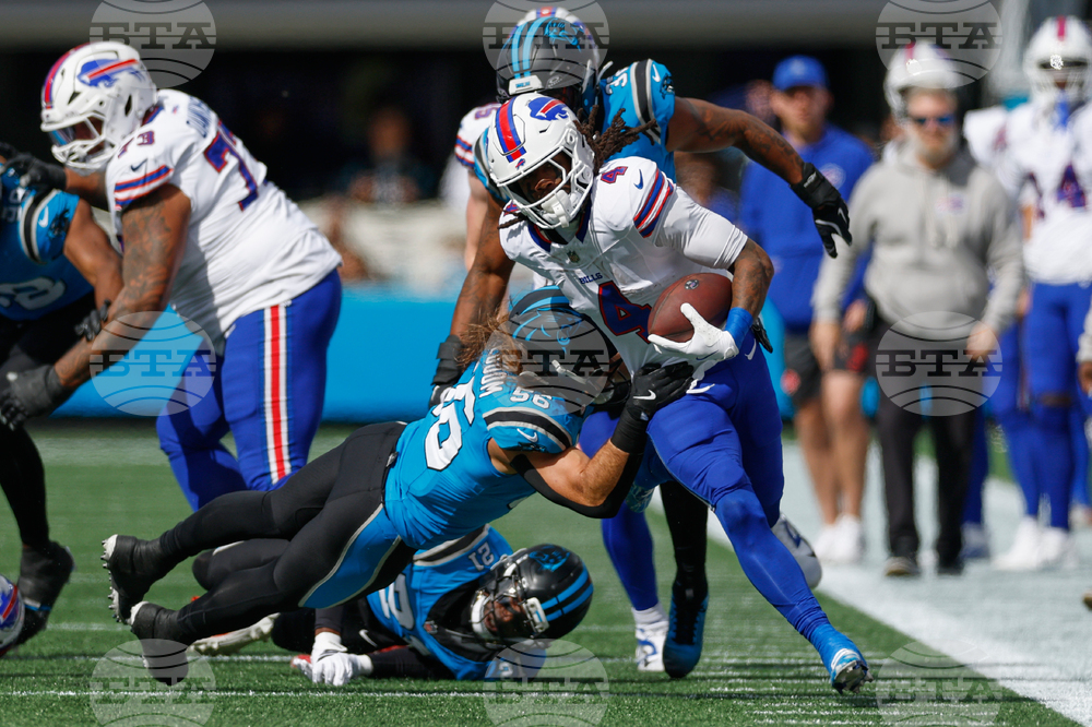 Bills Panthers Football