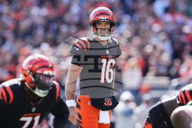 Jets Bengals Football