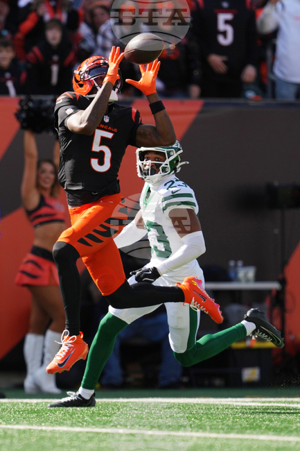 APTOPIX Jets Bengals Football