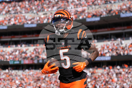 Jets Bengals Football