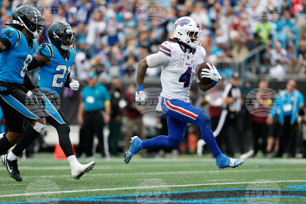 Bills Panthers Football